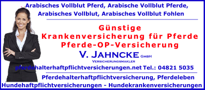 Krankenversicherung-fuer-Pferde