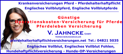 Operationskosten-Versicherung-fuer-Pferde